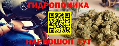гашик Нальчик