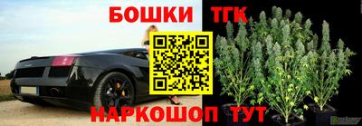гашик Нальчик